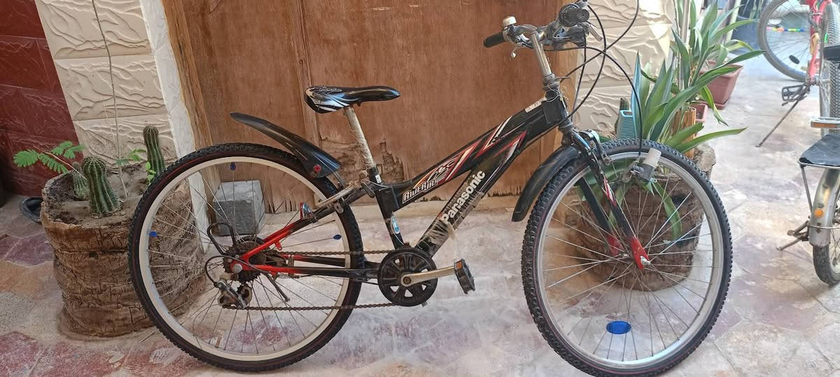 سلام عليكم باسكل جبلي عكرب للبيع السعر  70 وبي مجال للطيبين
 العنوان ابو خستاوي شارع الغسل


**إذا كنت صاحب هذا الإعلان وتريد حذفه لأي سبب، رجاءا أرسل رسالة إلى الدعم الفني**