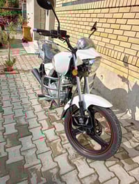 موتو • 2025 • بي أوراق