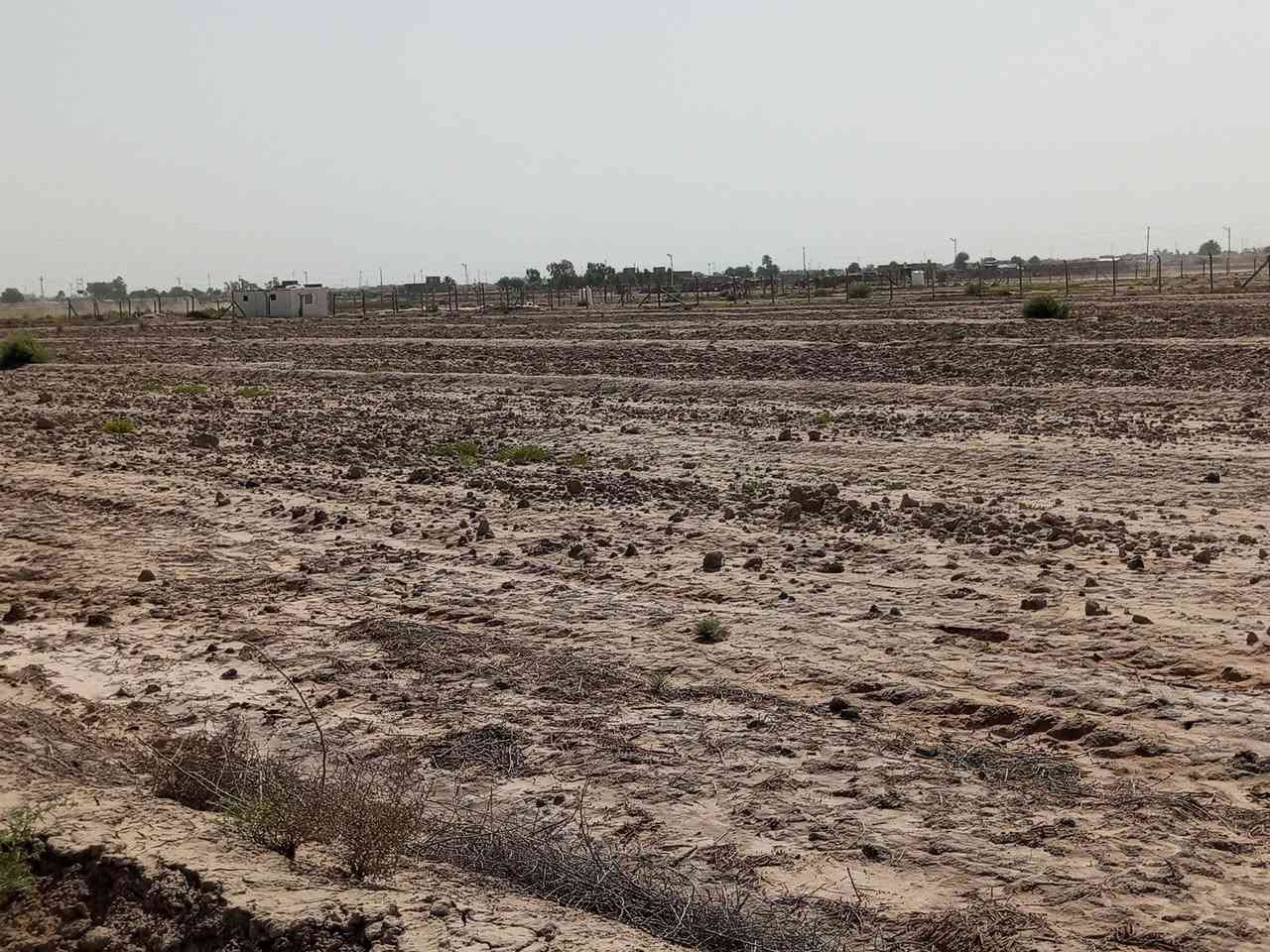 سلام عليكم أرض طابو زراعيه للبيع طريق ديوانيه دغاره قرب معمل الطابوك 11دونم نزله التبليط الجديد  تصل ***********
