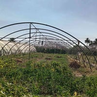 نايلون جديد • دبانه • أردني