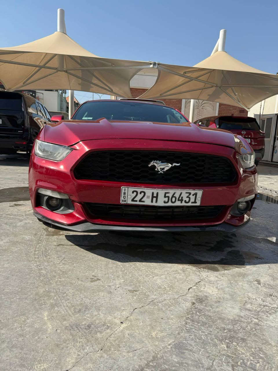 موستنك 2017 ايكو بوست  للبيع 
نص فول 
تحكم استيرن
كامرات 
تشغيل عن بعد 
عليها اضافات شوتة روش وعطاس
دفيوزر 
سبويلر 
لحية
حدادية جديدة تايرات جديدة 
عليها ادامة كاملة وجديدة 
ماشيه 67 الف مكينة شبه الجديدة
الحادث كما هو موضح بالسونار 
السياره بأسمي تحويل مباشر 
سنويه 2029 
*********** حلة, بابل
