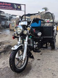 ستوته • موديل 23 • ديالى الخالص