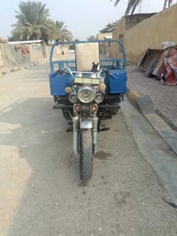 ستوته ١٦ • أوراق • المغاربه