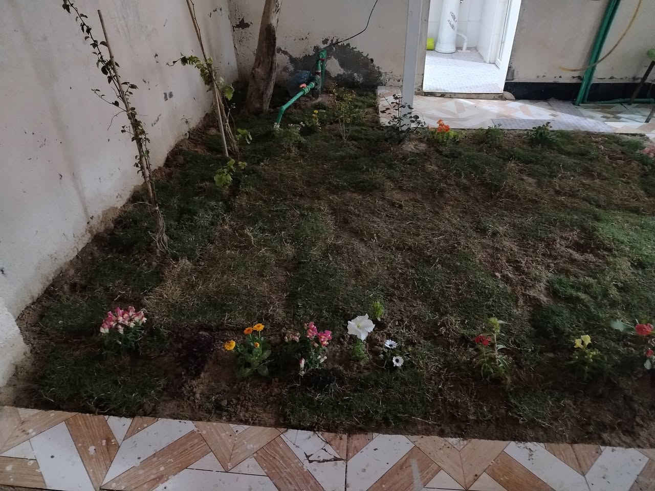 بيت للايجار الكندي خلف بيت سيد صدام بيت جديد عايله زغيره سعر الجار ٤٥٠ قفل ***********
