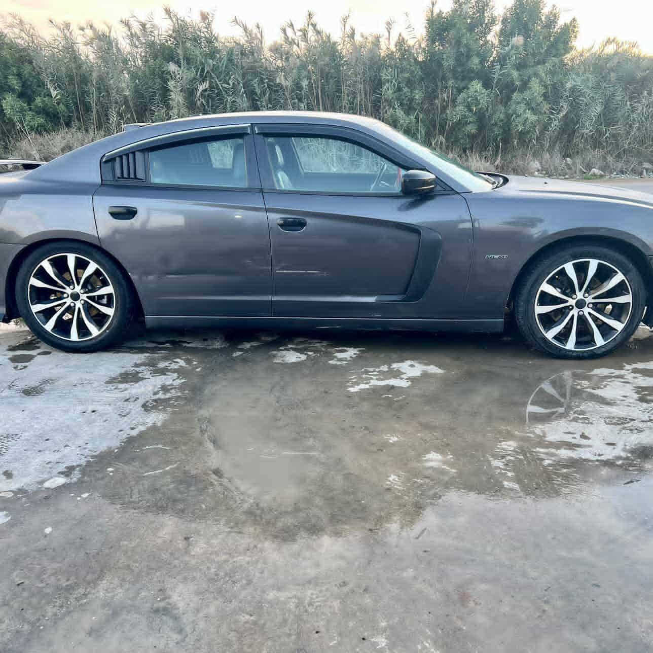 السلام عليكم جارجر 14 هيمي فول عدا الفتحه حادث جاملغ الوره جه السايق وخشم الجاملغ الأمامي السعر 140وبي مجال/***********/) (***********
