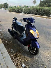 سكنس فحل ام طلاعات كفاله للبيع للستفسار خاص 💙  07771305131