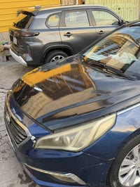 سوناته • ٢٠١٧ • وارد امريكي
