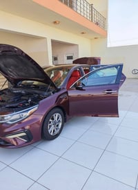 اوبتيما • ٢٠١٩ • تحويل مباشر