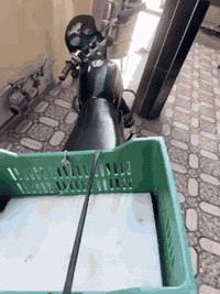 للبيع دراجة بوكسر موديل 2016
🔹 الدراجة مرقّمة، سنوية لغاية 2030
🔹 مكفولة كفالة عامة شرط الفحص
📍 الموقع: ديالى – قرية الزهيرات
💰 السعر: 1,250,000 دينار، وبي مجال شي قليل 
📞 للاستفسار:
***********
***********
