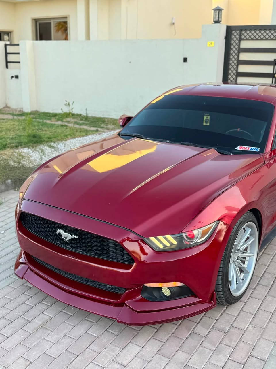 FORD Mustang 2016🐎
السلام عليكم 

موستنك mustang 2016 🐎🇺🇸

محرك V6 المرغوب 🔥

مواصفات 6 سلندر معروفة ❗️

-تحكم سترين جهتين 

-شفتات ستيرن

-تشغيل عن بعد

-مقعد كهرباء

الاضافات الي عليهة:-

📍شوتة KN

📍ويل فيرادا تو سايز 

📍لحية امامية سرڤيني  

📍جنح شيلبي

📍دوس جانبية

📍دفيوزر هينسي

📍منظومة زينون عالي ناصي

📍عدسة عين الشيطان 

📍كفرات مري باتمان

📍سكوبات  جاملغ ومثلثات

رقم اربيل شرط تحويل 

السيارة حادثهة جاملغ وبنيد  واني هنا رشيت قطعتين كلير ابيعك حزام شواصي لغود بشرط
السيارة ولاكلوب بدشبول بيهة مشتغل اي اعطال مابيهة

ماشيه (86) mi

السعر 133$ وبيهة مجال

مكان السيارة صلاح الدين مجمع الدور 

***********

