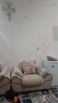 تخم تركي • ١٠ مقاعد • بمخزن