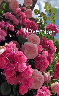 محتاج عامل من الحرية تنصيب كامرات وقت 6 ساعة عمر ب18-30 سنة التواصل وا...