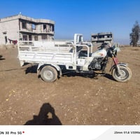 ستوته ام ثاير • ستوته بيضاء موديل 20 • عوسجه