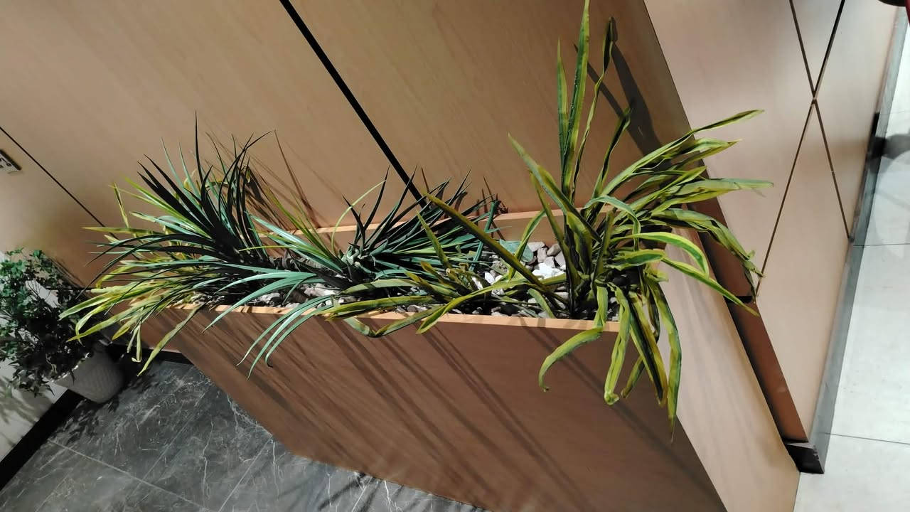 غراض مطعم كلهن جدد البنوك السعر خاص ***********تعالي وتساب
