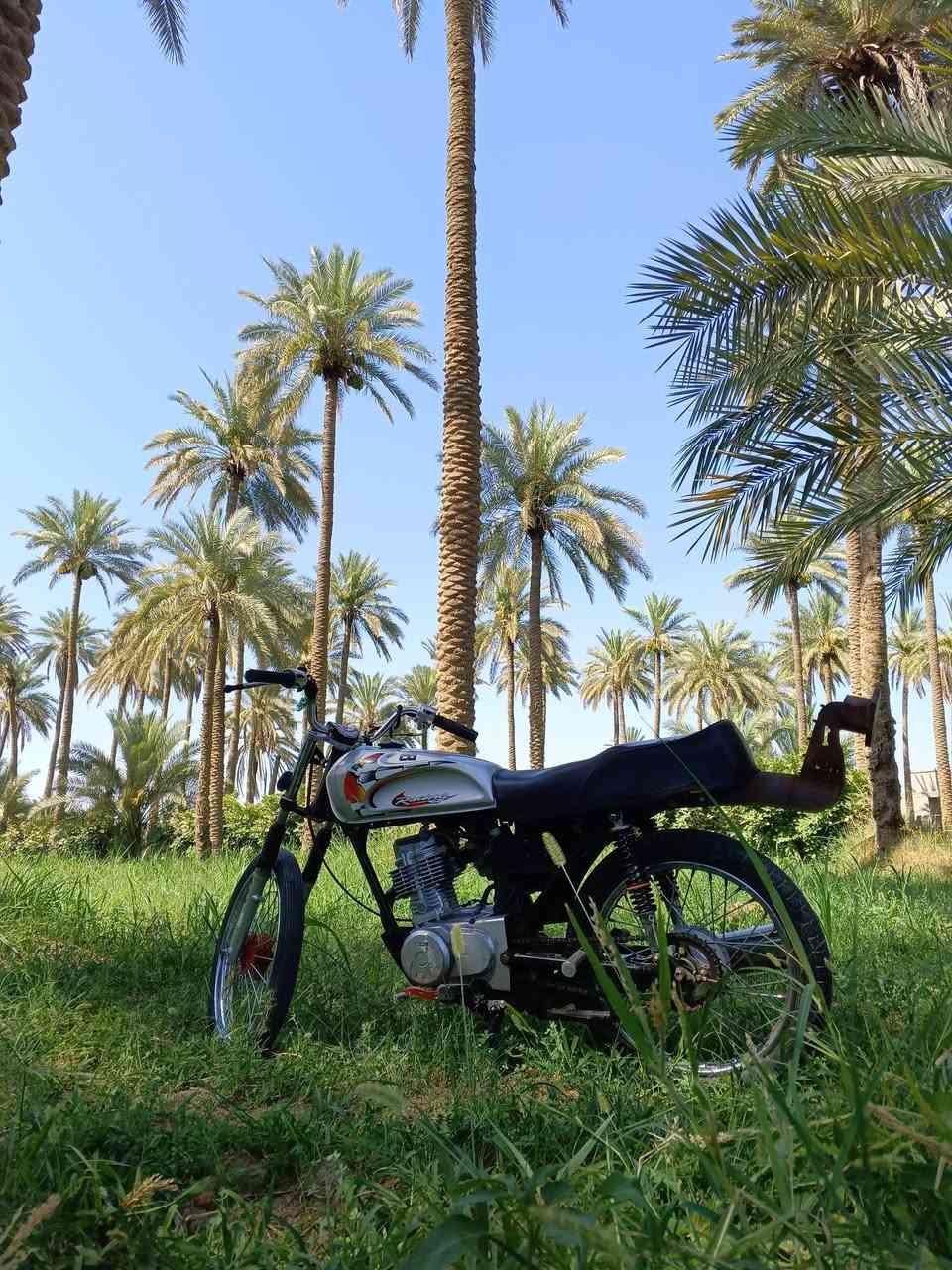 سلام عليكم دراجه شلامجه كله  25  الدراجه خير من الله شلعه فصله مشي فول الدراجه سكنر السعر 600وبيه مجال للغوالي مكان نجف رقمي***********
