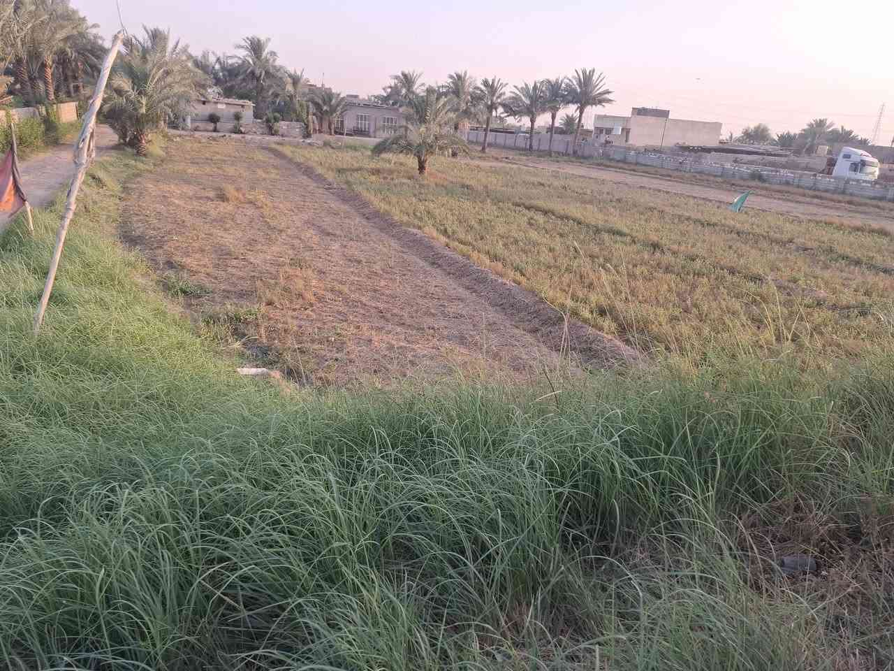 ارض زراعيه مساحه 7دونم شااطيه مع بيت عددخمسه مع بستان ننخل عدد 40شيال مع مظيف للأمام الحسين ع السلام  خدمات ماء كهرباء مدارس شارع عاام للاستفسار ااكثر الاتصال ع الرقم *********** موقع الارض قرب معمل التنانير او مدرسة دعبل الخزاعي
