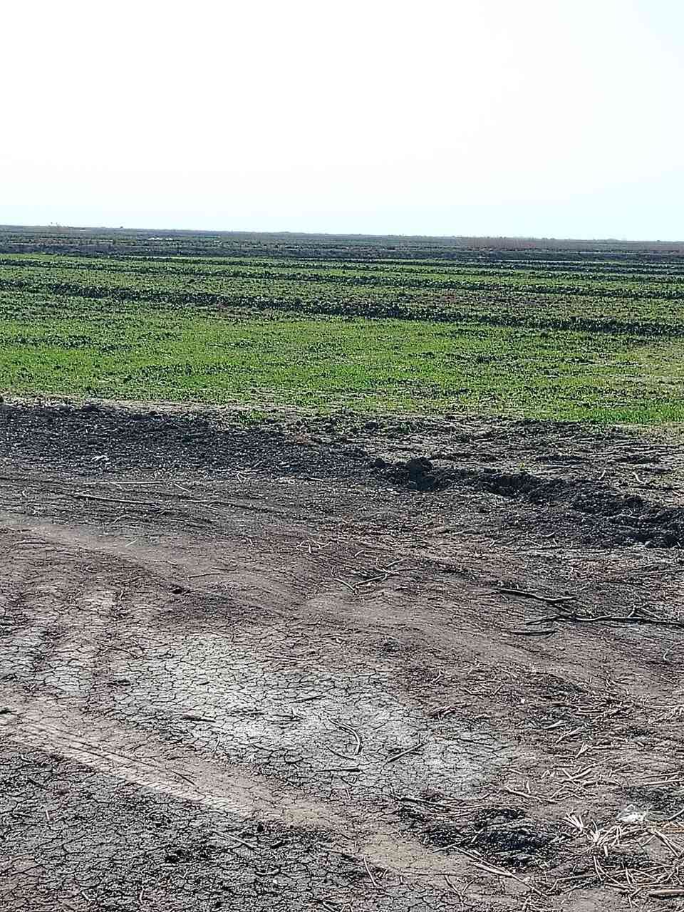 أرض زراعيه ٥٠ دونم للبيع عقد زراعي
خلف مطار الصويره مزروعه حنطه للاستفسار الاتصال على الرقم *********** مكلف بل نشر
