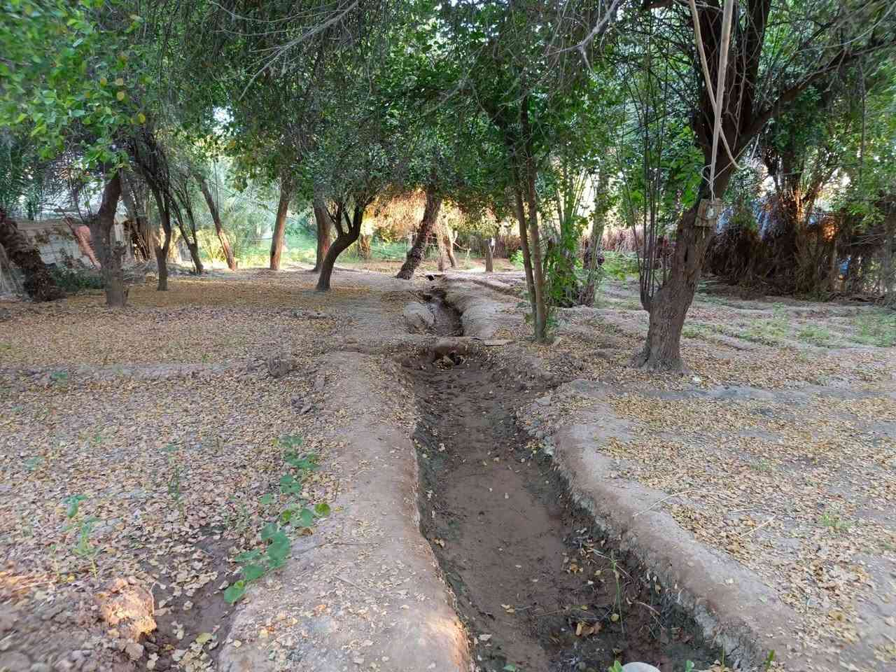 ياللله توكل على اللله
عدي دونمين للبيع بساتين دفاس بي ست ابيوت مساحته6250 سعرها 950 طابوا صرف 
دونمين ونص طابو ملك صرف اسود عثماني بيه 6 بيوت مكانه بساتين الدفاس قرب الاساله الثانية

استفسار على رقم***********
