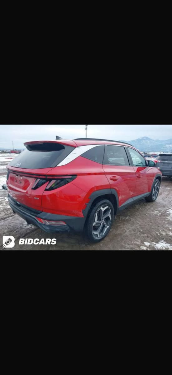 السلام عليكم 
توسان 22 لون احمر حادث سرقه جاملغ و بنيد سياره جاهزه لل اخير فول لل اخير ما تصرف ربع ما تصرف عليها سعر 185 مكاني بغداد غزاليه ***********
