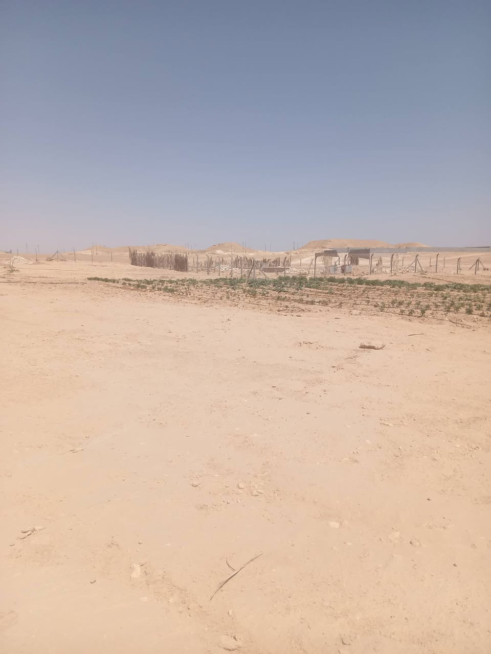 قطعه أرض غير طابو مساحته 6000 م على شارعين للبيع خدمات واصله بيها مزرعه بيها نخل ومشمش وحوض مي وتنقيط مسيجه BRC موقع شيخ حديد السعر 32 مليون وبيها مجال
للاستفسار ***********
