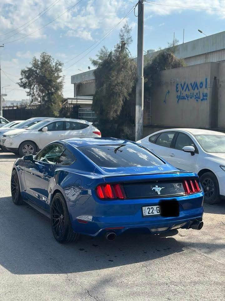 بيع او مراوس

موستنك ستة سلندر 

‏Mustang 2017 V6

كير محرك اكسل شرط

صبغ  3 قطع 

ايرباك فقط ستيرن

ماشيه 85 ميل

صدر امامي خلفي جديد

تبريد كهربائيات شرط

سياره شرط مابيها مصرف نهائيه

رقم اربيل تحويل شرط 

مكان سياره اربيل

سعر 145$ وبي مجال 

للبيع او مراوس شمالي فقط

واتسئاب : ***********

‏ أربيل, العراق
