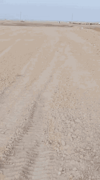 دونم • طاش • التل الأخضر