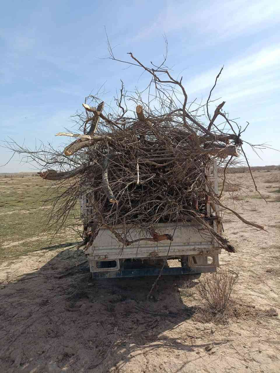 حطب درجه أوله لحمل 125


**إذا كنت صاحب هذا الإعلان وتريد حذفه لأي سبب، رجاءا أرسل رسالة إلى الدعم الفني**