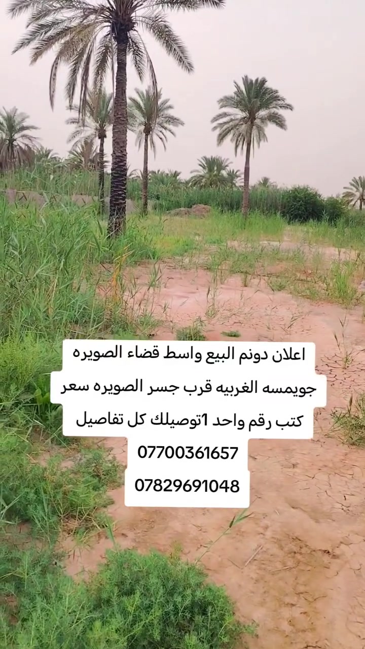 #اي استفسار احنه ب الخدمه ..
#مكتب (العقارات  ايسر الجحيشي في صويره) يقدم افضل العروض والتعامل المحترم والصادق مع الزبائن الكرام.
#الي عنده قطعه للبيع او دوانم نشتري حسب البورصه وافضل سعر للقطعه .
متوفره كافت دوانم والمزارع ودور سكنيه 
للمعلومات والستفسار اتصل على الارقام التاليه
***********///*********** /وتساب فايبر 📲☎️📞
