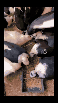 هية والتوصيل 18
للاستفسار الاتصال ***********
