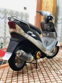 ماكس منغولي • كفاله عامه • ٤٩ سي سي