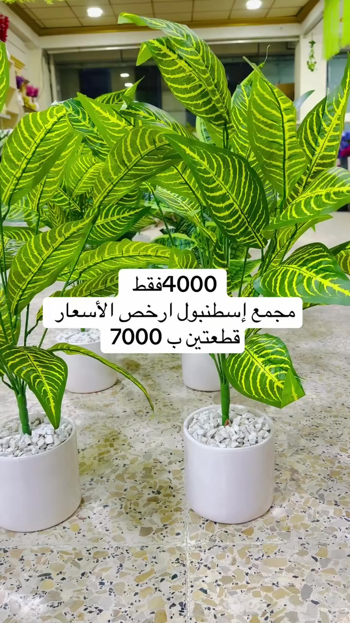 مجمع إسطنبول ارخص الأسعار خانقين مقابل معمل النسيج مجاور دلسوز البزاز لا يوجد توصيل  @أبرز المعجبين


**إذا كنت صاحب هذا الإعلان وتريد حذفه لأي سبب، رجاءا أرسل رسالة إلى الدعم الفني**