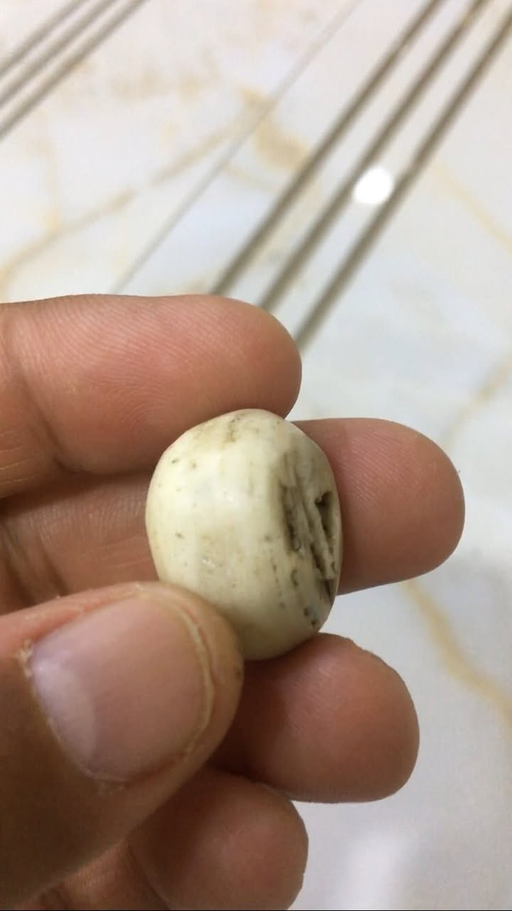 تحفه من نوادر زمان عطف مال كاع خرزه قديمه


**إذا كنت صاحب هذا الإعلان وتريد حذفه لأي سبب، رجاءا أرسل رسالة إلى الدعم الفني**