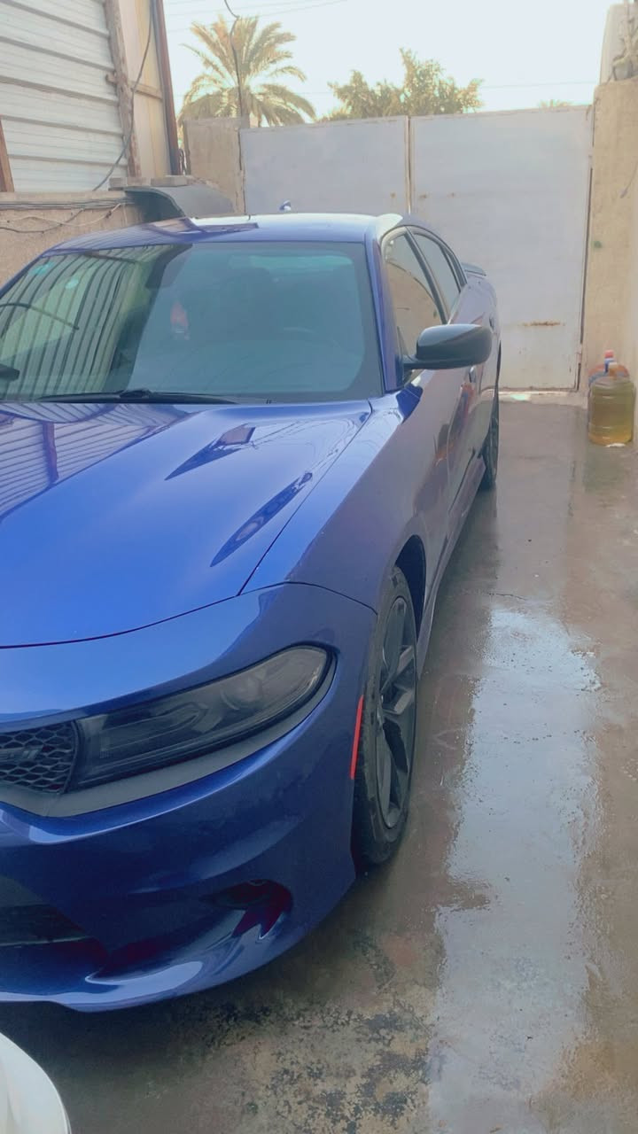 السلام عليكم شباب جارجر جي تي 2022 حادث جاملغ بدون ايرباك صور الحادث بلمنشور المحموديه ناحيه الرشيد الشراي يتصل *********** السعر 275 بيه مجال
