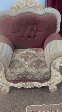 تخم ابو التاج للبيع مثل ماموضوع بالصوره 5 قطع السعر 650 وبيه مجال العنوان الحله سياحي الدلاوب رقم الهاتف ***********
