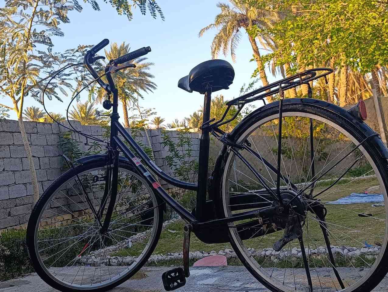 بايسكل حجم 26 جديد مال حاويه الله شاهد اشتريته قبل أيام وهسه اريد ابيعه اشتريته با95 بس هسه مستعجل عل بيعته بي مجال للشراي مكاني دبله وهذا رقمي ***********
