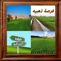 أرض زراعية • ٥٠ دونم • العلم حليحل