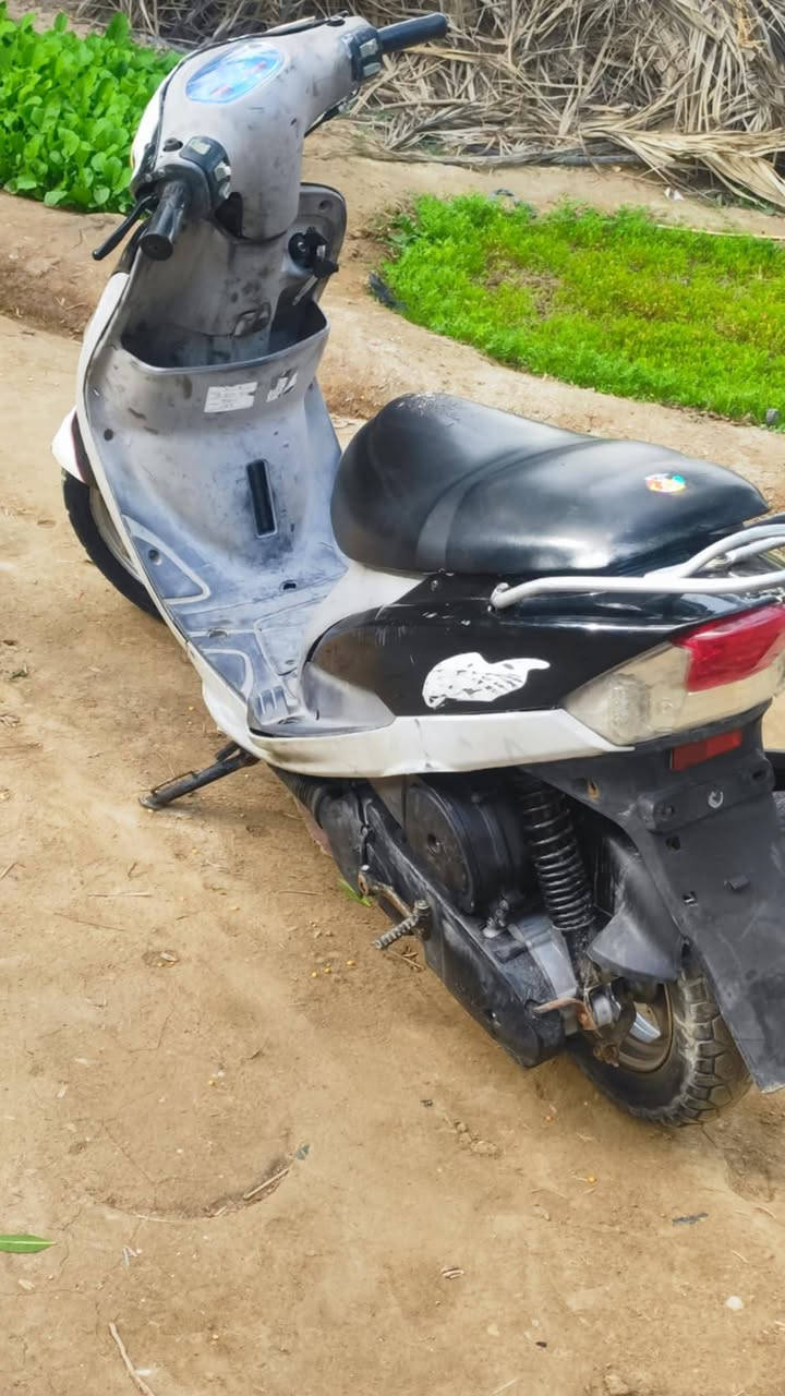 سلام عليكم دراجه ماكس كهربايات كلهه شغله هورن شغال بس سلف عوزه شخاطه فقط سعره 650 شراي اتصل *********** مكاني سماوه ناحيه المجد
