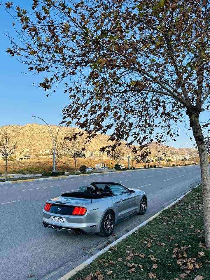 موستانك 2017 ايكو بوست 
محرك 4 سلندر گير محرك بشرط 
تحويل وكاله بشرط رقم سنوي جديد 
بيها 4 قطع صبخ راس شاصي بيها تعديل بدون صبخ و معجون 
سياره فول كشنات هيتر دشبول 7 لون 
سعر 107$ 
ورقتين غرامه نزل من سعر 
رقم موبايل ***********
مكاني دهوك زاخو, دهوك
