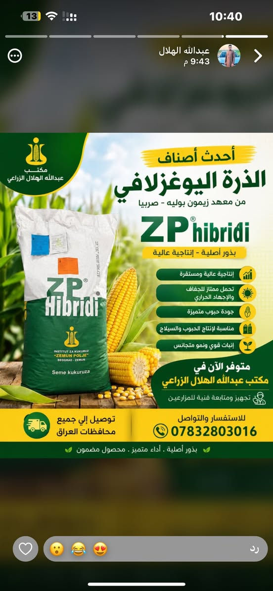 ولله الحمد 🤲
التجهيز مستمر لصنف اليوغوسلافي الزيتبي 707 🌽

تم تجهيز الفلاحين في:
📍 تركلان
📍 كوبري
📍 تازة
📍 داقوق
📍 وبعض قرى الحويجة

الحمد لله رب العالمين على هذا التوفيق 🌱

🔹 تجهيز وإشراف: مكتب المنزلة الزراعي
📍 كركوك – الحويجة

📞 أرقام الموبايل:
***********
0775364720

🚚 متوفر لدينا خدمة توصيل إلى جميع أنحاء العراق
