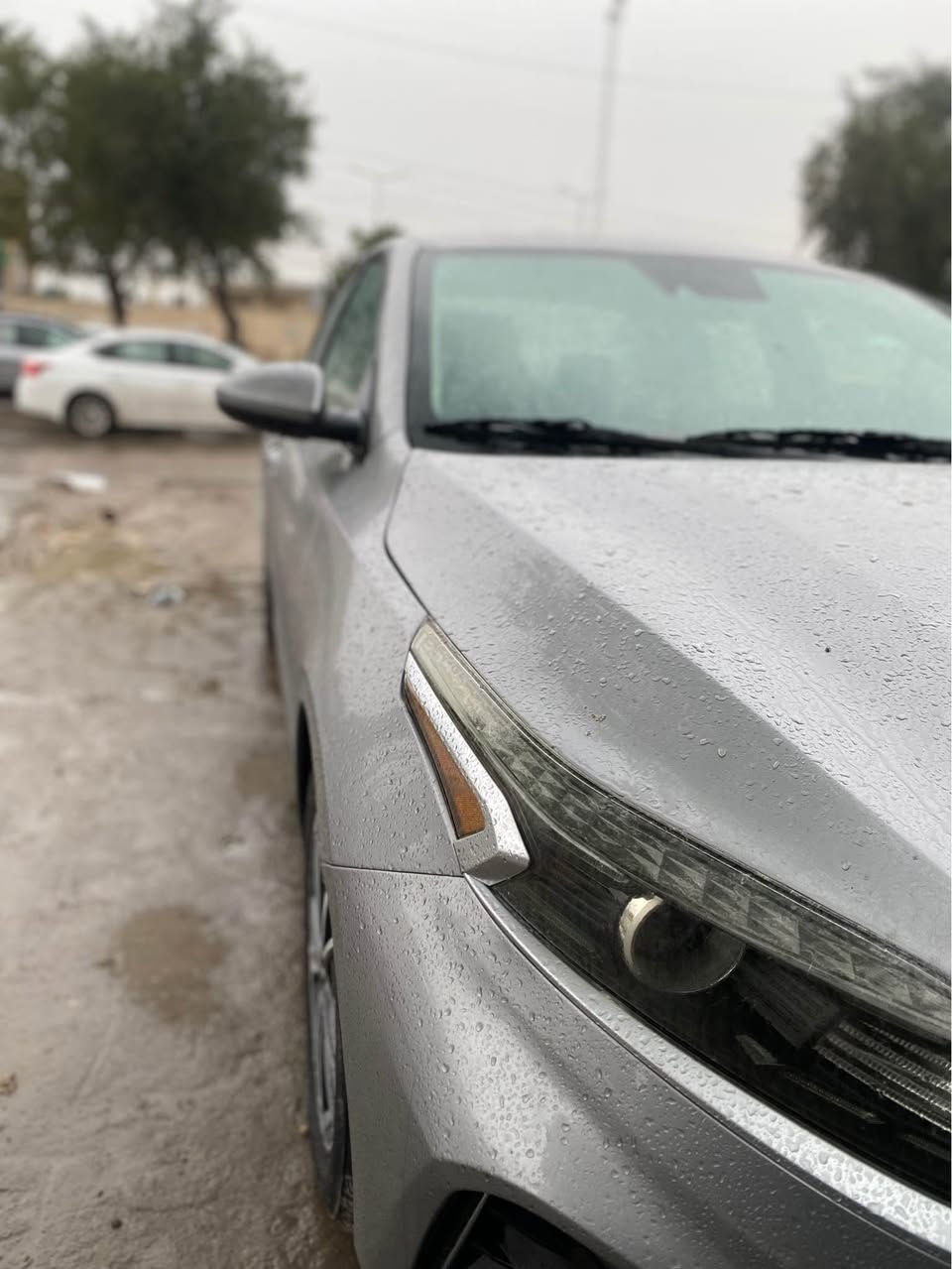 اسلام عليكم فورتي 2024دخول جديد مكينه 2000سويج مو بصمه حادثها صفحه وقماره تصليح درجه ولا مكانها بغداد البلديات ‭*********** بغداد, العراق
