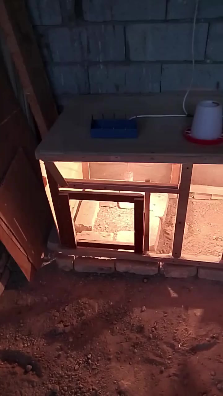 قفص للبيع 15  الف يابلاش الشراي
يتصل او يراسل واتساب ***********
مكاني سوق الشيوخ قرب سيطرة ام العباس
