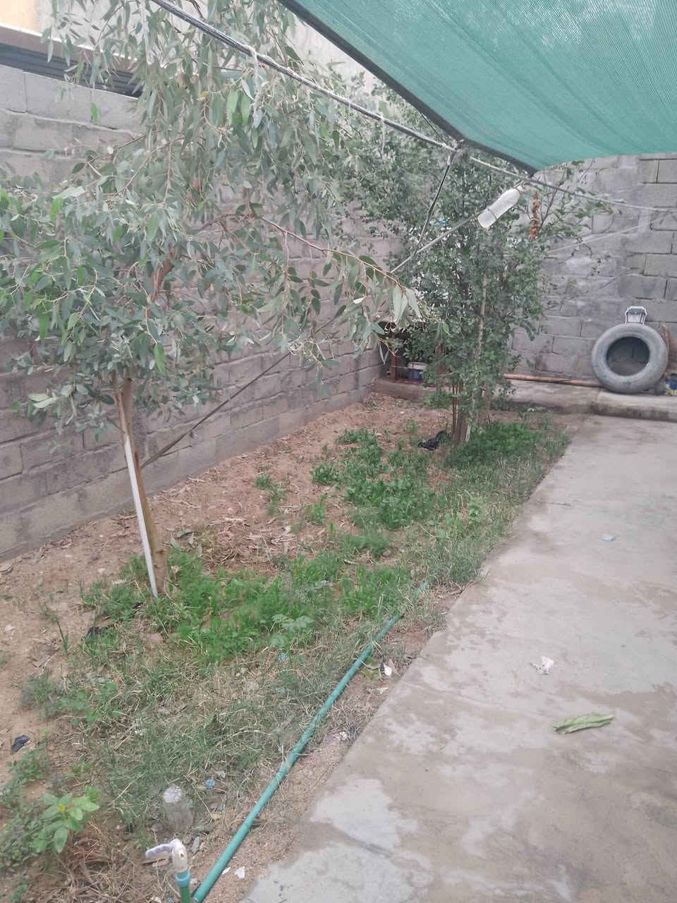 بيت للبيع حي الأنصار قرب شارع الصحفين مرتسم قطع سابقا  المساحة 250 متر مسلح تسليح الأرضية والسقف يتكون من غرفة 5 متر والثانية صغيرة للاطفال وديوان 7 متر وصاله كبيرة 6 متر ومطبخ 5 متر وصحيات  داخل وخارج وحوش كبير وحديقه البيت وماء وكهرباء ونت ضوئي  بس ملبوخ سمنت يحتاج صبغ أو سيراميك  السعر خاص للتواصل ***********
***********
