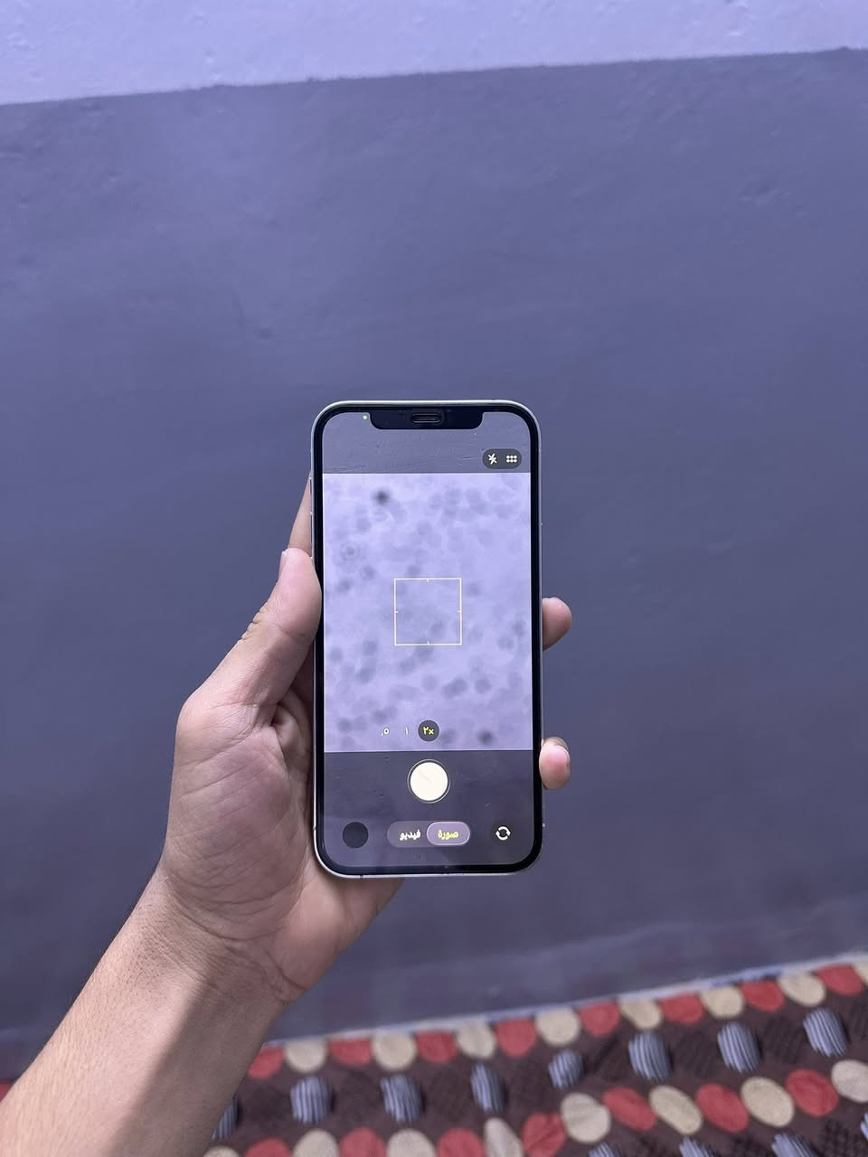 ‏سلام عليكم أخوان العزاز عدنا هذا ال iPhone12برو فقط 
فقط الكامره الزوم بيه رطوبه فقط 
البطاريه 76 بلادي 
وا الشاشه بلادي 
وا الجهاز ما مفتوح 
العنوان موصل الأيسر حي التحرير 
السعر 330وا بي مجال حك جيتك 
*********** بدون واتساب
