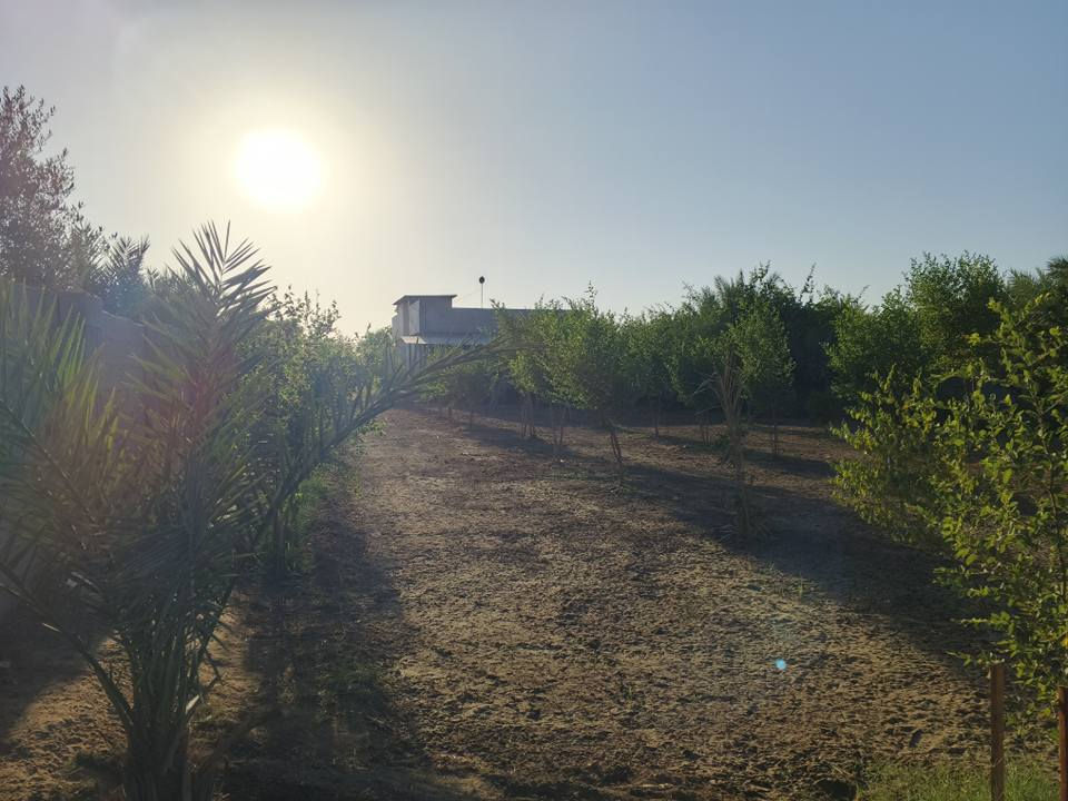 ⛔[اعلان عن بستان في منطقة الرابط - الزبيلية كربلاء]⛔

[للاستفسار عن السعر الاتصال على الرقم اسفل المنشور]

بستان بمساحة 1 دونم - الزبيلية كربلاء شارع الرابط -  

-الواجهة 21 / النزال 125.
-سياج بلوك.
-سند 25 حق التصرف.
-يطل على شارع تبليط رسمي.
-مكون من بيت حديث بمساحة 200 متر تقريبا + مضيف خارجي +غرفة خارجية صغيرة يمكن استعمالها كمخزن و جلسات خارجية عدد 2 احداهما تحتوي حمامات مفصولة للضيوف.

-يحتوي المنزل على 4 غرف نوم وصالة ومطبخ وحمامات عدد 3 

-تانكيات عدد 3 وتانكي ماء احتياطي خمس الاف لتر مع ماطورات ماء عدد 2 

-محمية للحيوانات متكاملة

-لمعرفة بقية التفاصيل بخصوص الكهرباء والماء والمزروعات
الاتصال على رقم صاحب البستان للاستفسار:
***********
