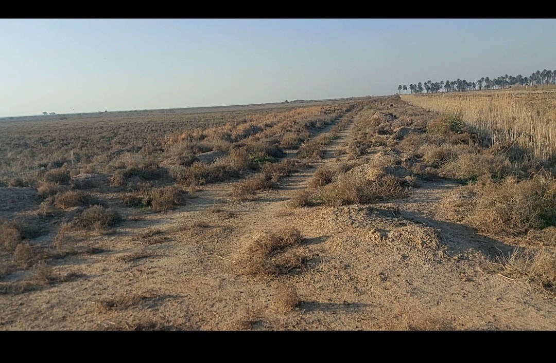 السلام عليكم ورحمة الله وبركاته اخوتي الأعزاء الاكارم 
اعلان(١٠٥) الصلاة على محمد وآل محمد. هي طاهرة للقلب
* ٢٥.دونم .ونصف . زراعي سند ٢٥ .طابو بعقوبة للبيع 
. تقع ع طريق خان بني سعد .محمد سكران .الطريق المؤدي إلى خان بني سعد .بعقوبة . تبعد عن الشارع العام التبليط ١ كيلو . فيها ٣ طرق للدخول عليها . ماء زرع فقط . مراشنة
سعر الدونم (١٠) مليون للدونم الواحد. وفيها مجال للتفاوض. من يرغب في الشراء يتصل بي او عبر المراسلة .وتساب (***********) او عبر الصفحة ماسنجر 
اخوكم ابو مهدي العامري.  المراجعة في مكتب العامري للوساطة العقارية.  الواقع في نفس الشارع . بعد المقبرة ٢ كيلو.  ولكم مني كل التقدير والاحترام. 
 من يرغب ابعث له الموقع الخاص في المكتب
