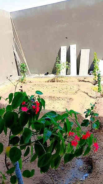 السلام عليكم  اخوان حراثة حدائق وترتيب وزراعة الثيل ***********بي واتساب مكاني بني منصور
