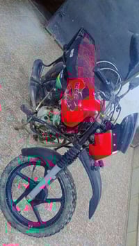 بوكسر جبلي • اوراق كاملة • سامراء