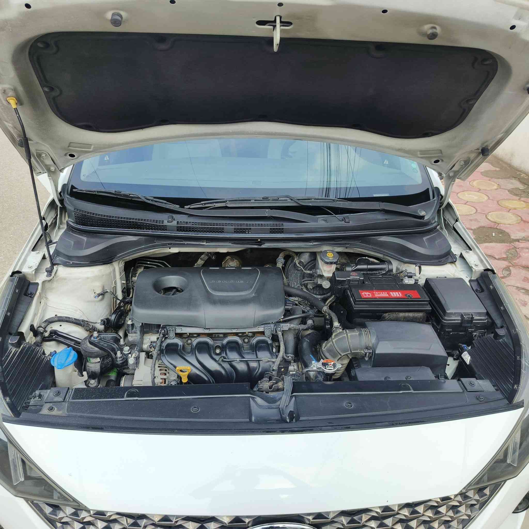 ‏سلام عليكم . اكسنت موديل 2022 وارد خليجي  محرك ال1600 دوش مكفول ما مفتوح تبريد قطعتين كير مكفول سياره بيها جاملغات امايمه رش صبغ  فقط بدون حادث وبدون معجون سياره جاهزه رقم اربيل جديد بسمنا تريد تحويل أو وكاله بل يعجبك
‏السعر 127$ بيها مجال بسيط
‏العنوان بغداد الدوره
‏***********
‏ متوفر وات ساب
