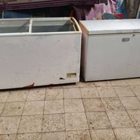 مجمدات • شغالات • كربلاء