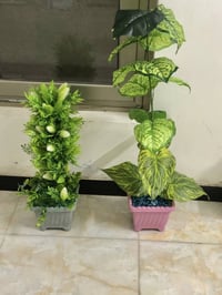 نباتات صناعية • جديدة